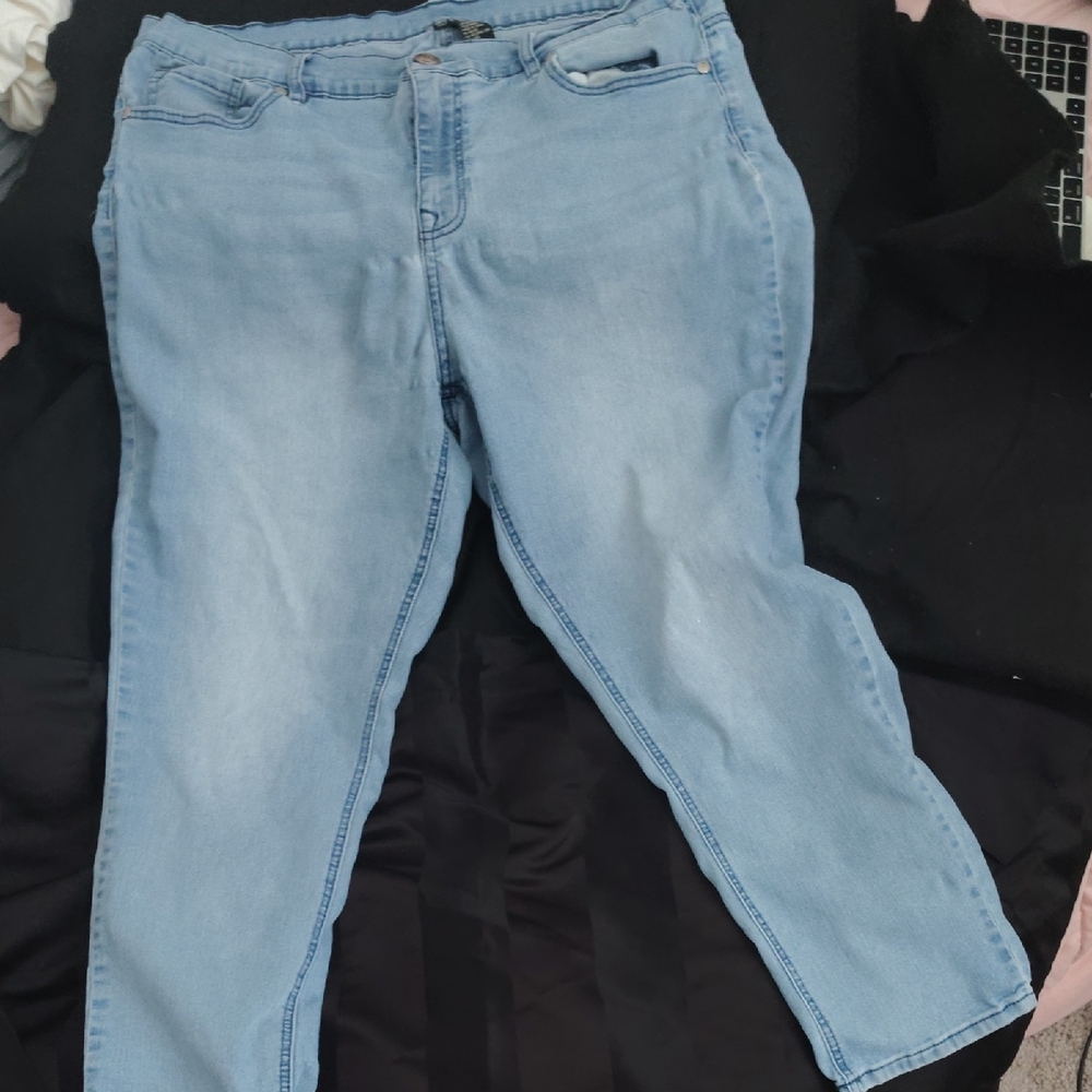 DG2 by Diane Gilman Light Blue Ankle Jeans